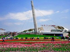 辽宁沈阳：支持原有热电联产项目扩建背压机组