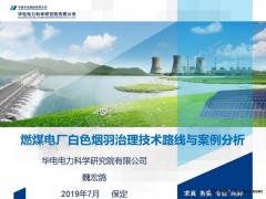 魏宏鸽 | 燃煤电厂白色烟羽治理技术路线与案例分析