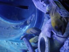 上海石化热电部控制水压科研攻关获成效
