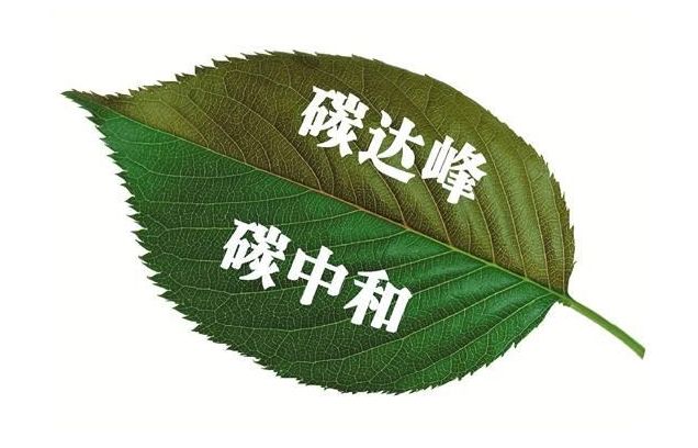 “碳达峰”和“碳中和”是什么？如何才能实现？专家学者这样说