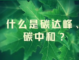 张瑜：中国的“碳”都在哪里