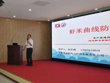 20210624.安徽康迪纳：虾米曲线防堵煤斗提高燃烧效率