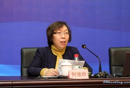 中国科学院院士何雅玲：热储能系统是未来规模储能的中坚力量