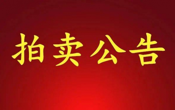 股权拍卖公告：天津市津热供热集团有限公司22.345%的股权拍卖